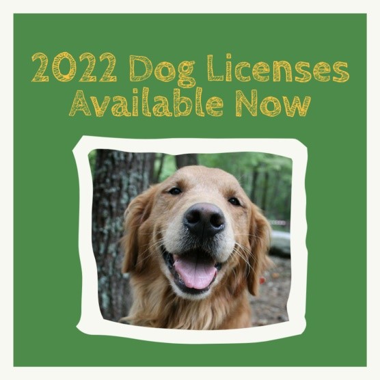 Do You Need A Dog Licence